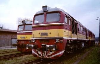 781 596-2