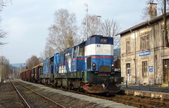 743 010-1