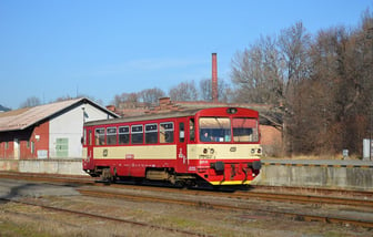 810 664-3