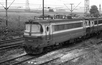 S499.1006