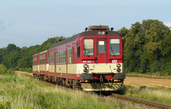 842 025-9