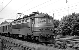 S499.0247