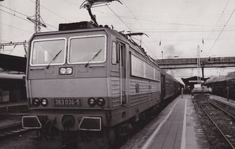 363 036-5