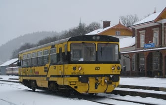 810 205-5