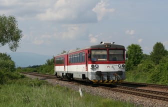 813 029-0