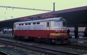 S499.0219