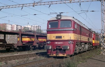 781 335-5