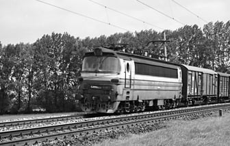 S499.0123