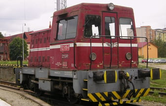 702 619-8