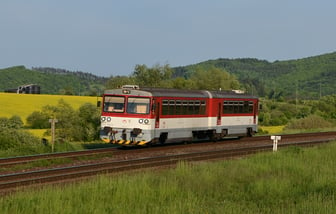 813 006-8