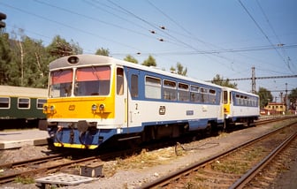 810 442-4