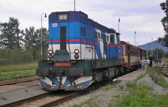 743 010-1