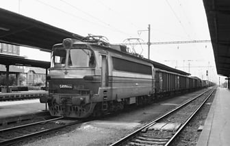 S499.0024